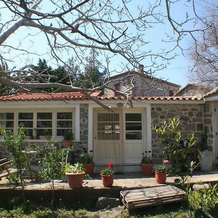 מלון Arcadia Eressos מראה חיצוני תמונה