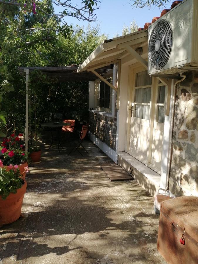 מלון Arcadia Eressos מראה חיצוני תמונה