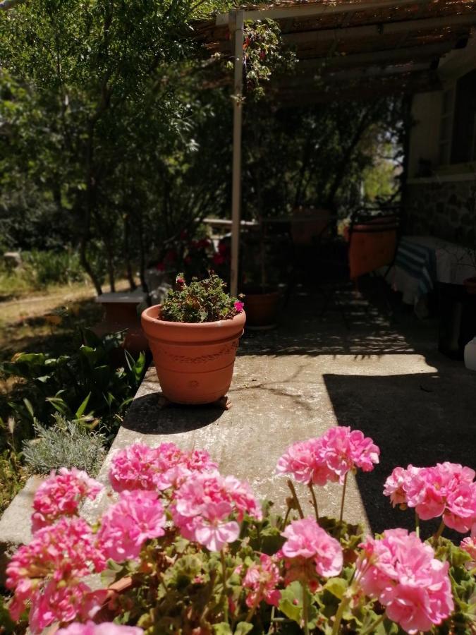 מלון Arcadia Eressos מראה חיצוני תמונה